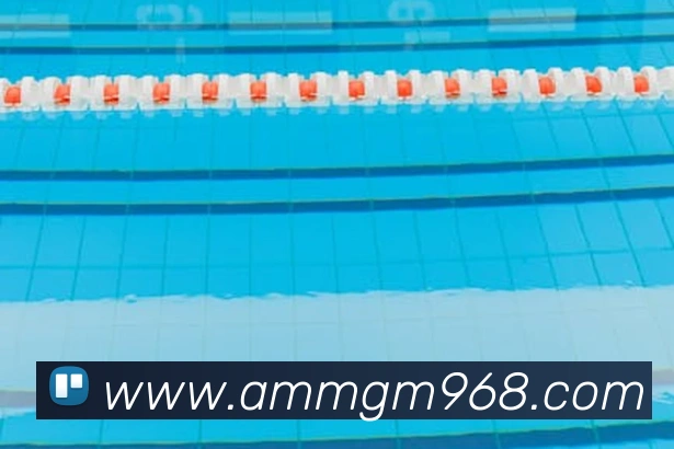 美高梅mgm平台生态图